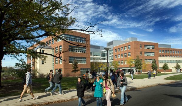 Smeal Ranked Top 15 Globally in UTD Research Rankings | Onward State