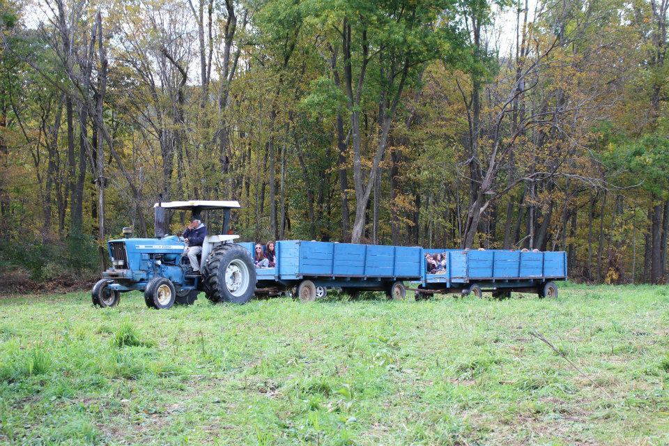 Hay, Listen!: New Hayride Rules for 2014