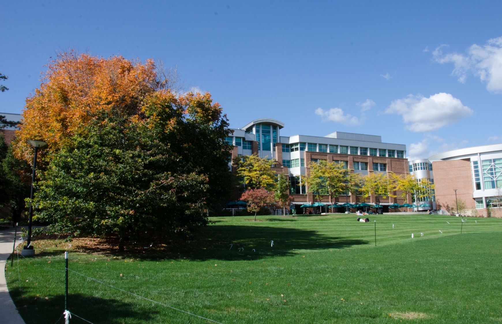 The HUB Lawn Will Be Back In Business In April