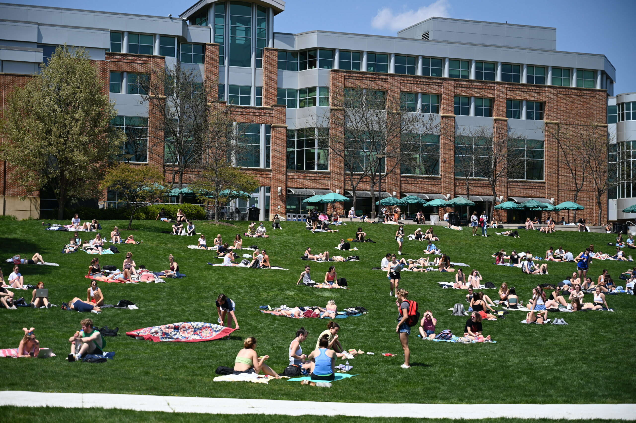 Things Easier Than Connecting To HUB Lawn WiFi Onward State