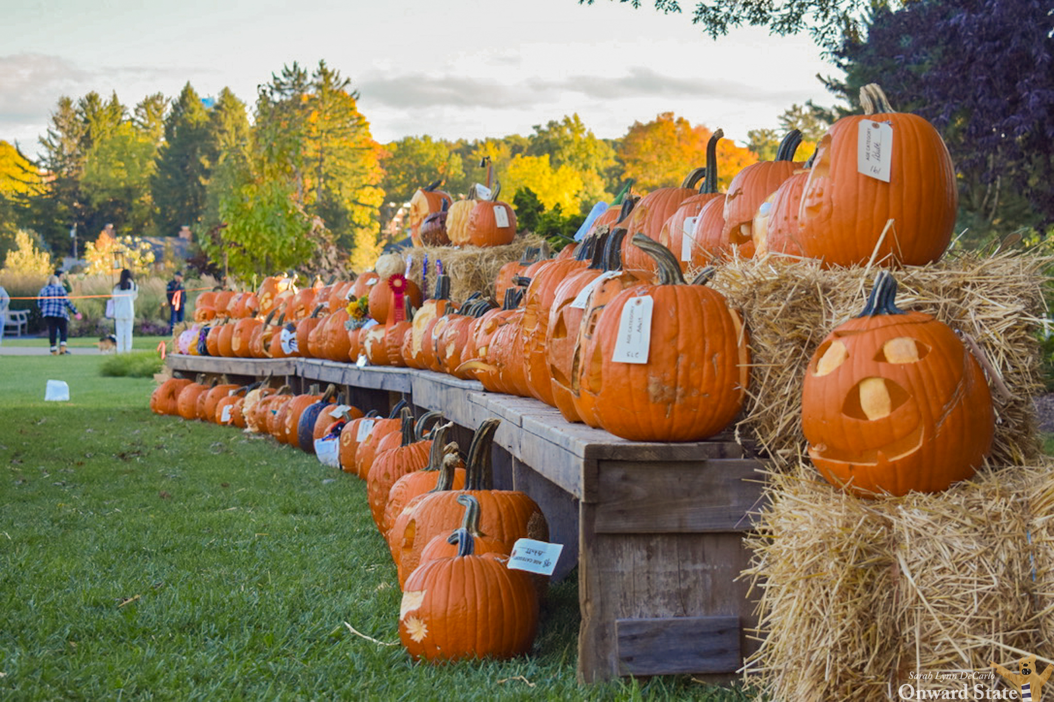 Arboretum Hosts 2022 Pumpkin Festival State College, PA