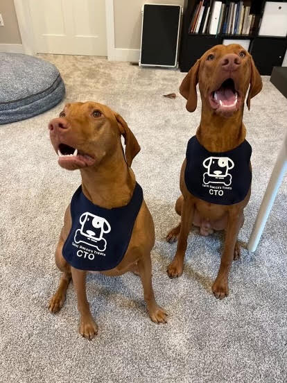 Saint Rocco's Treats: Alum-Founded Brand Fetches The Best For Your Pup ...